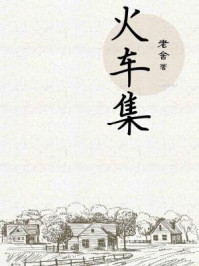 火车集