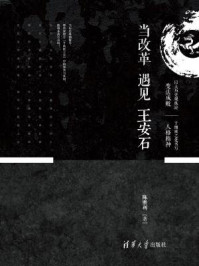 当改革遇见王安石