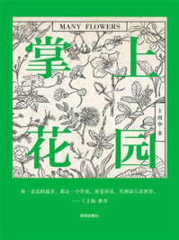 掌上花园
