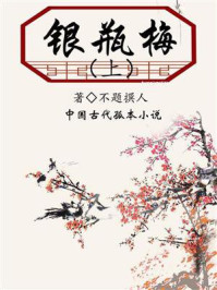 银瓶梅(上)
