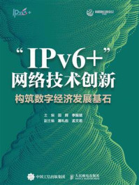 “IPv6+”网络技术创新：构筑数字经济发展基石