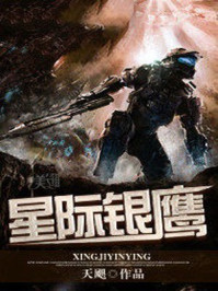 星际银鹰