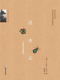 昆虫记(精美插图版)