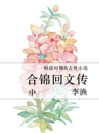合锦回文传(中)