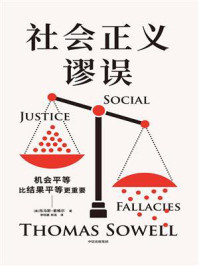 社会正义谬误