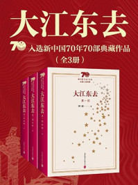 《欢乐颂》作者阿耐经典代表作:大江东去(全3册)