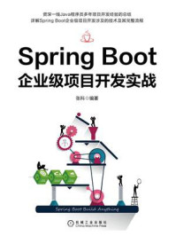 Spring Boot企业级项目开发实战