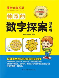神奇的数字探案游戏书