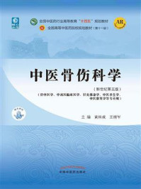 中医骨伤科学(全国中医药行业高等教育“十四五”规划教材)