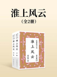 淮上风云（全两册）