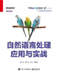 自然语言处理应用与实战