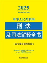 中华人民共和国刑法及司法解释全书（含立案及量刑标准）（2025年版）