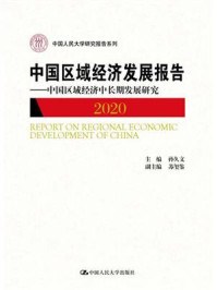 中国区域经济发展报告：中国区域经济中长期发展研究（2020）