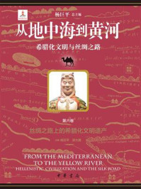从地中海到黄河:希腊化文明与丝绸之路(第6卷)