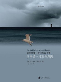 未来是一只灰色海鸥
