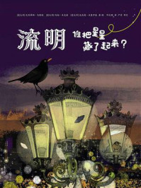 流明:谁把星星藏了起来?