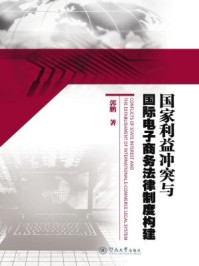 国家利益冲突与国际电子商务法律制度构建