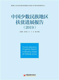 中国少数民族地区扶贫进展报告(2019)
