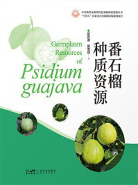 番石榴种质资源