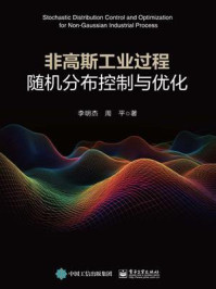 非高斯工业过程随机分布控制与优化