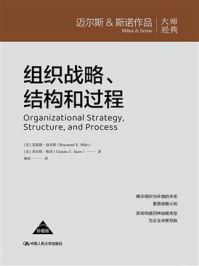 组织战略、结构和过程