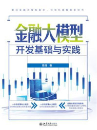 金融大模型开发基础与实践