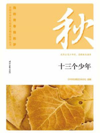 十三个少年