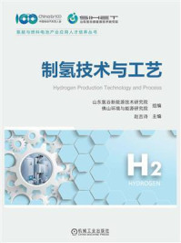 制氢技术与工艺