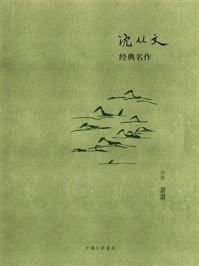 沈从文经典名作:萧萧(中册)