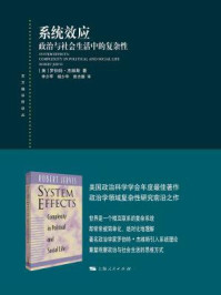 系统效应:政治与社会生活中的复杂性