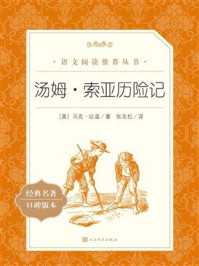 汤姆·索亚历险记(语文阅读推荐丛书)