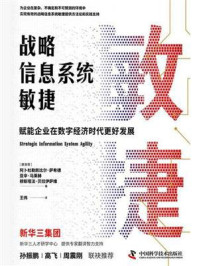 战略信息系统敏捷:赋能企业在数字经济时代更好发展