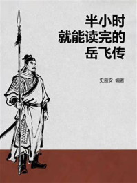 半小时就能读完的岳飞传