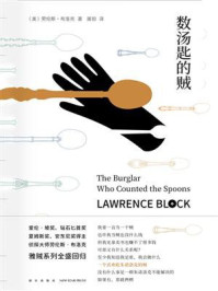 数汤匙的贼