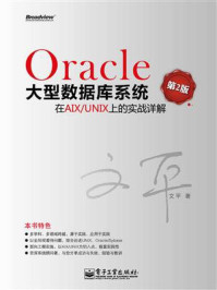 Oracle大型数据库系统在AIX.UNIX上的实战详解（第2版）