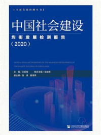 中国社会建设均衡发展检测报告（2020）(全面发展检测丛书)