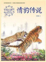 情豹传说
