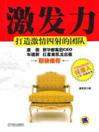 激发力：打造激情四射的团队