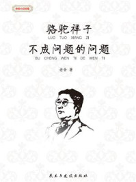 骆驼祥子·不成问题的问题
