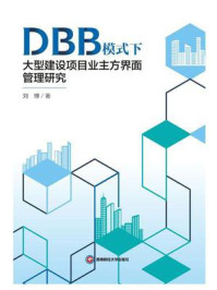 DBB模式下大型建设项目业主方界面管理研究