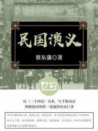 蔡东藩经典历史小说：民国演义（4）