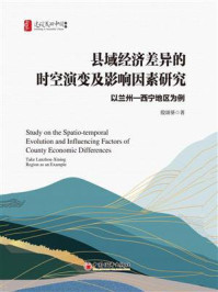 县域经济差异的时空演变及影响因素研究：以兰州—西宁地区为例