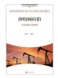 沙特阿拉伯:中东丝路上的绿洲
