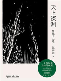 天上深渊:鲁迅十二论