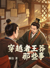 穿越者王莽那些事