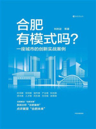 合肥有模式吗？