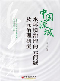 中国流域水环境治理的元问题及元治理研究