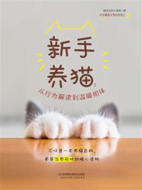 新手养猫:从行为解读到温暖相伴