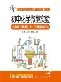 初中化学微型实验