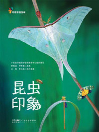 昆虫印象（行色自然丛书）